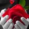 user84292794524177