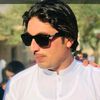 salmanshainwari