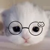 dmidangiuuuu