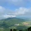 ngntr0