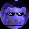 the_emo_when_pigs_fly
