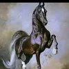 moustaphaniassend
