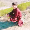 shahidkhan.630