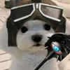 obojetny_skrzat