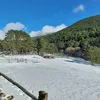 manuelherasmanche