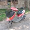 artemon7431