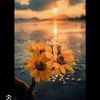sunshin0315