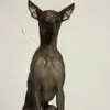 mastetasqueayer