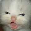 apheliosafk