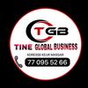 tineglobalbusiness221