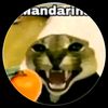 team_mandarina18462