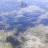 helenhelen0744