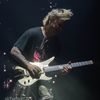 shredtardead