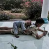 dung_hua85