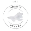 adamsbettas