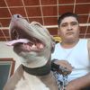 fercho3681