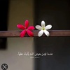 rawan_r309