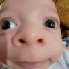 didimonkey8468