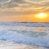 shahdmohamed5940