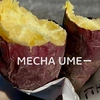 mecha.ume