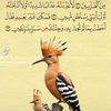 user4718136206122