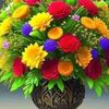 donkhan3033
