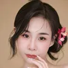 xoi.non50
