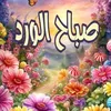 user38152356765011