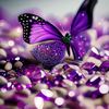 evelynevelyn815