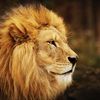 ahadqureshi0010