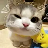 spthenaie