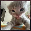 kupal_kaba_b0ssing09