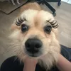 gloomdoll15