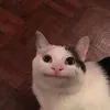 qwertyiiii111