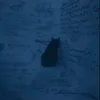 rkwl_1