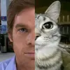 rey.mathew