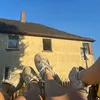 rand0m_nino
