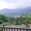 mawarjingga99