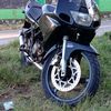 bahodoy5
