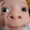 re1zoon