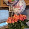 evangelina.cazare8