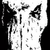 grach_n2