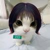 itzy_k15_x