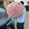 florabakuaz