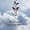 user86855536167286