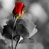 🪽Huzur veren huzur bulsun🕊️