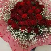 ammal5527
