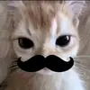 zasy_555