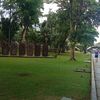 panjava_82