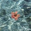 lost.inbeach